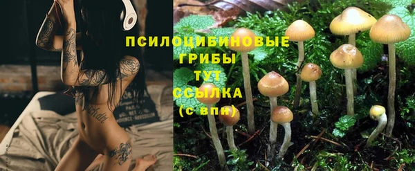 ECSTASY Баксан
