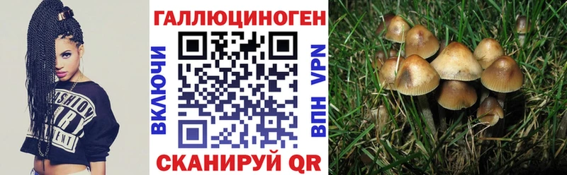 MEGA зеркало Гвардейск Псилоцибиновые грибы прущие грибы